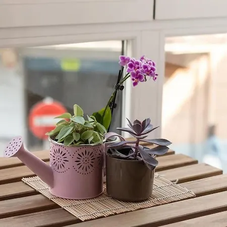 Appartement Portu By Aston Portugalete